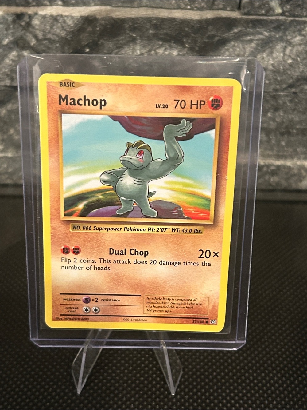 Pokémon Machop 57/108 Non-Holo from XY Evolutions Set Vintage (2016) M/NM - Picture 1 of 3
